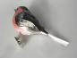 Preview: Dompfaff Glasvogel Lauscha Christbaumschmuck