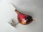 Preview: Vogel brauner Spatz