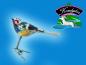 Preview: kleiner bunter Vogel