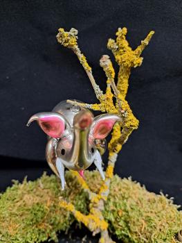 Elefant mit großen Ohren Tiere