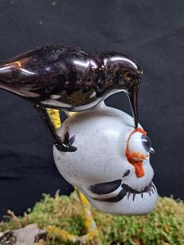 Rabe Totenkopf