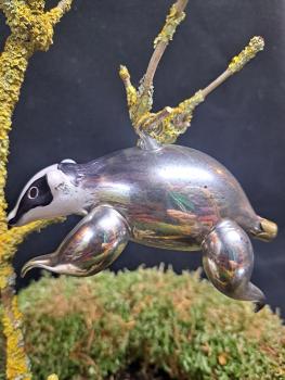 Waschbär Tiere