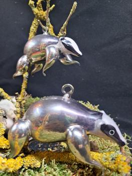 Waschbär Tiere