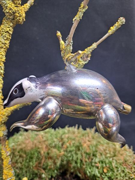 Waschbär Tiere