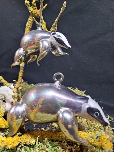 Waschbär Tiere