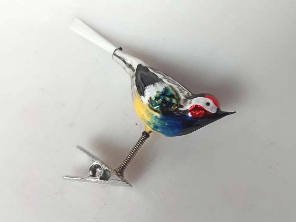 kleiner bunter Vogel