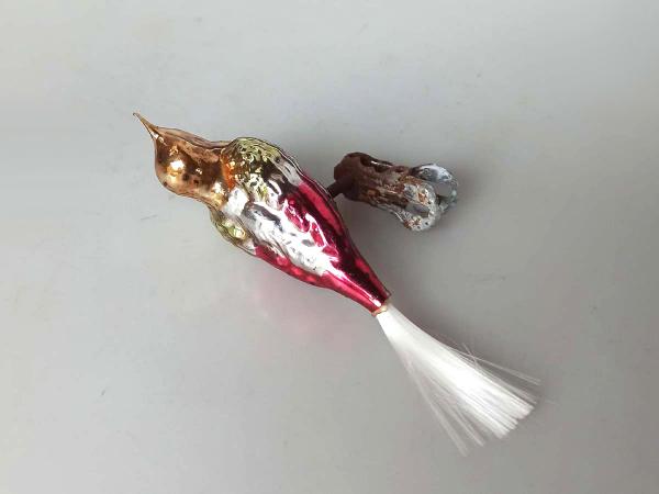 Vogel Goldköpfchen