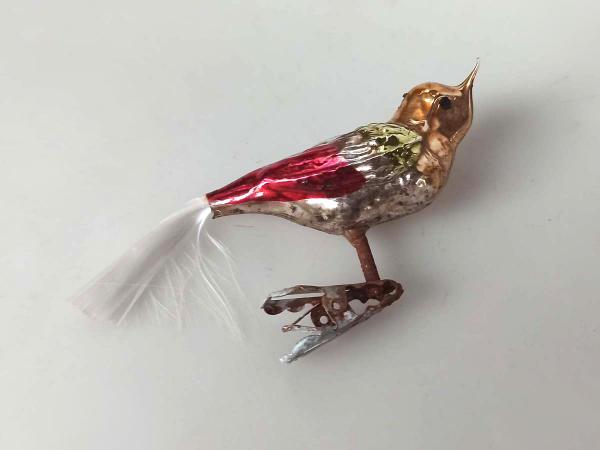 Vogel Goldköpfchen