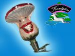 Lachender Fliegenpilz Lauscha Christbaumschmuck am Zwicker