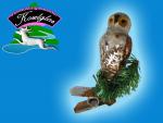 UHU Eule Glasvogel mit Tinsel Christbaumschmuck