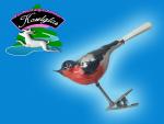 Rotkelchen - kleiner Vogel